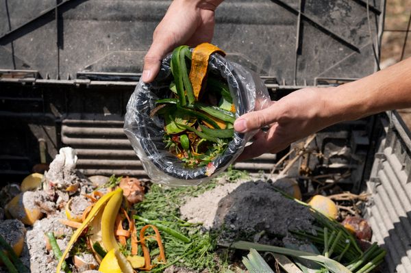 10 Zero-Waste Swaps That Save Money in 2026