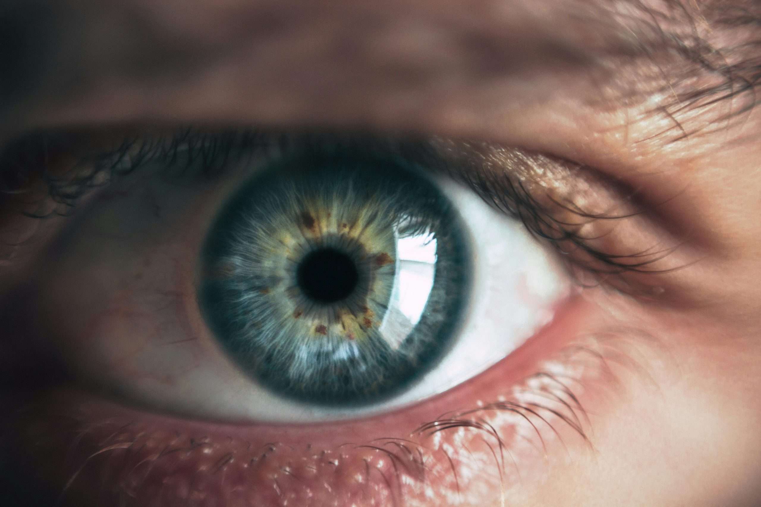 AI Identity Protection 2026: A Step-by-Step Guide to Securing Your Digital Self