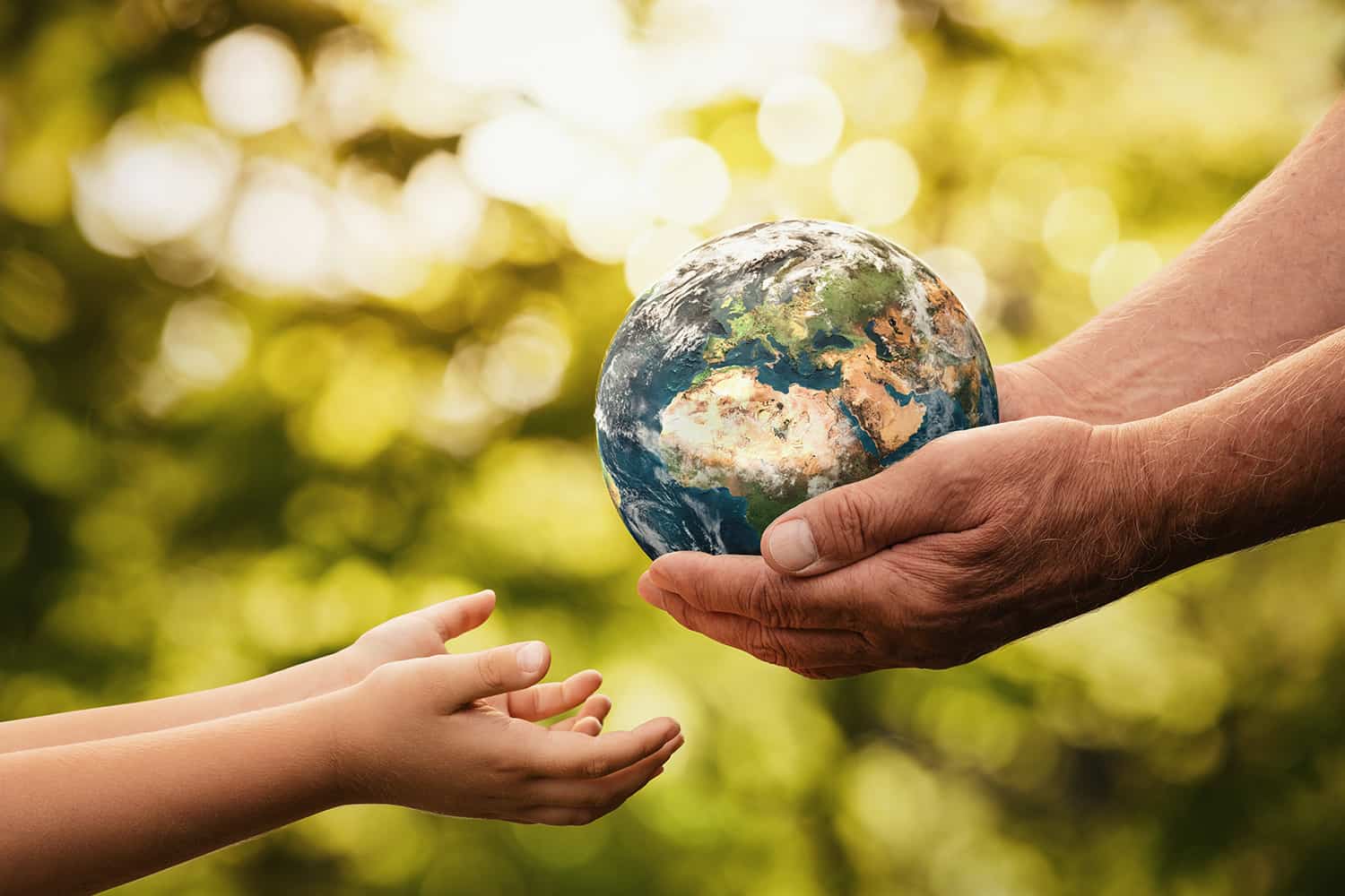 The to Sustainable Living