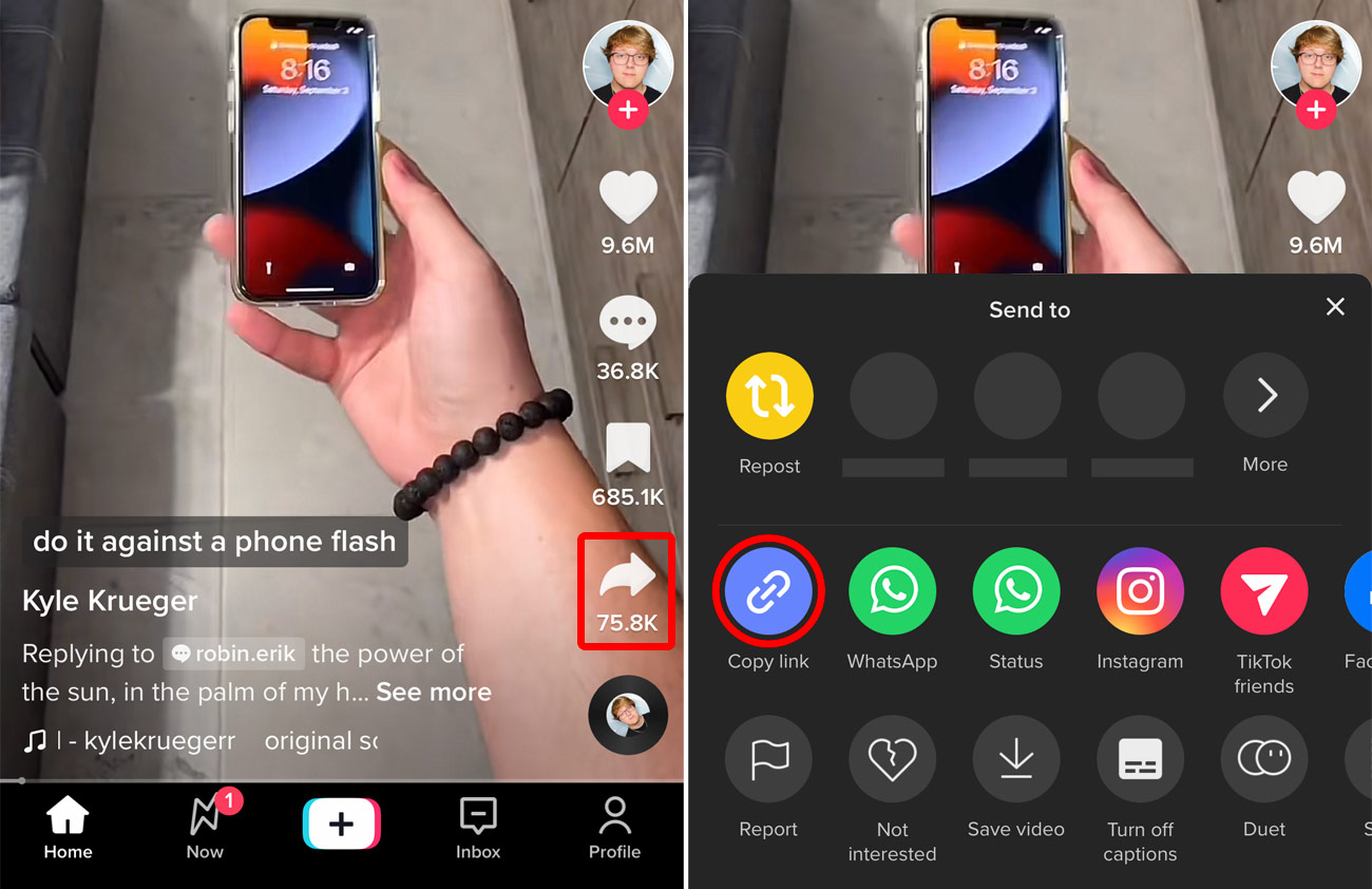 Sharing Likes.fun TikTok post on Twitter and Discord