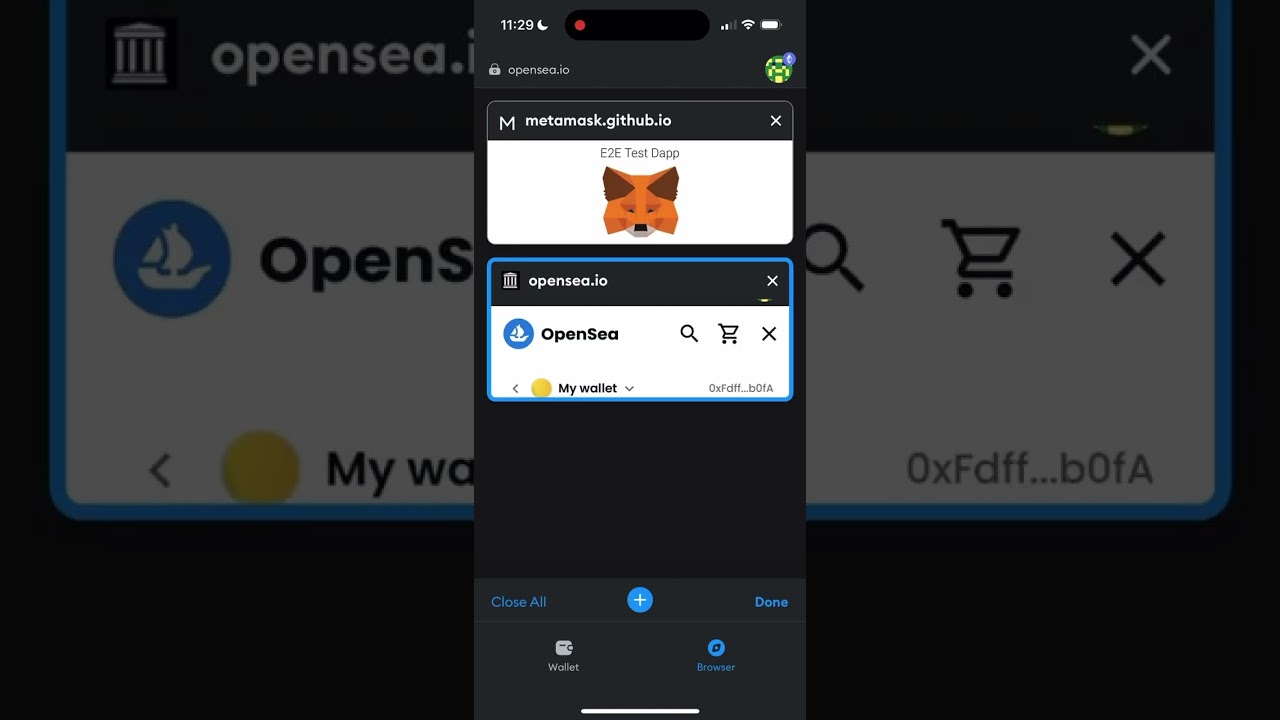 MetaMask wallet app interface